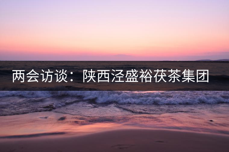兩會(huì)訪談：陜西涇盛裕茯茶集團(tuán)董事長(zhǎng)馬恒光