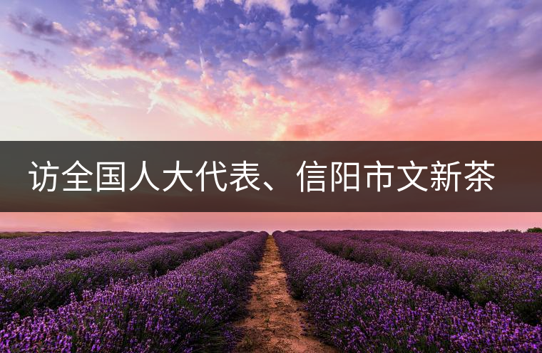 訪全國(guó)人大代表、信陽(yáng)市文新茶葉有限責(zé)任公司董事長(zhǎng)劉文新