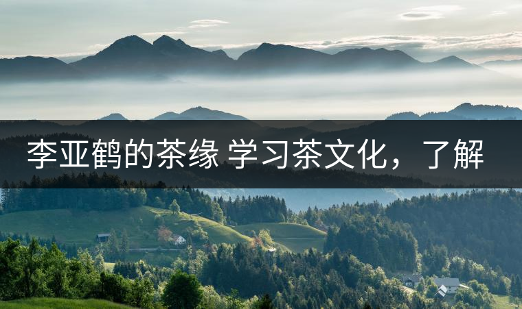 李亞鶴的茶緣 學(xué)習(xí)茶文化，了解茶文化，品味茶文化