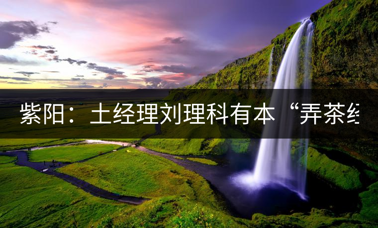 紫陽:土經(jīng)理劉理科有本“弄茶經(jīng)” 紫陽:土經(jīng)理劉理科有本“弄茶經(jīng)”