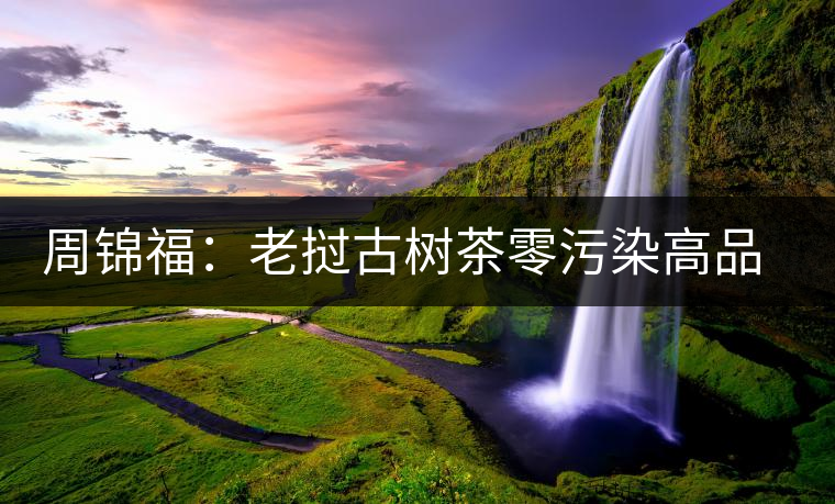周錦福:老撾古樹茶零污染高品質(zhì) 周錦福:老撾古樹茶零污染高品質(zhì)