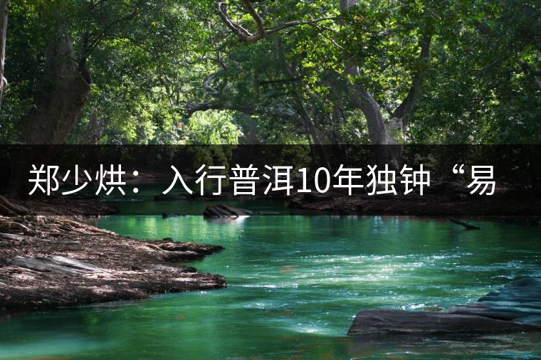 鄭少烘：入行普洱10年獨(dú)鐘“易武山頭”