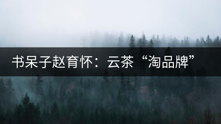 書呆子趙育懷:云茶“淘品牌”的進(jìn)化之路 書呆子趙育懷:云茶“淘品牌”的進(jìn)化之路