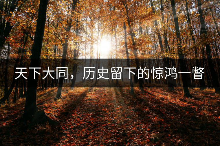 天下大同，歷史留下的驚鴻一瞥