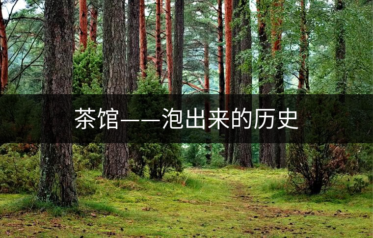 茶館——泡出來的歷史 茶館——泡出來的歷史