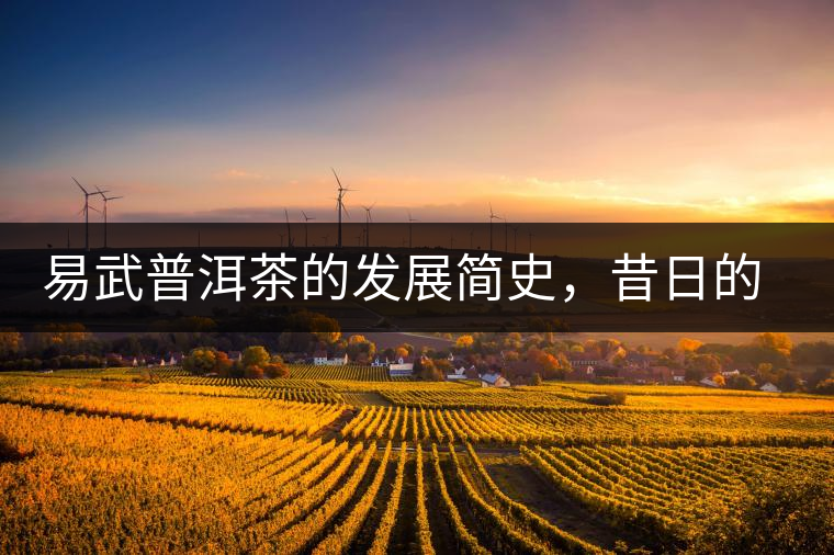 易武普洱茶的發(fā)展簡史，昔日的貢茶如今依然輝煌