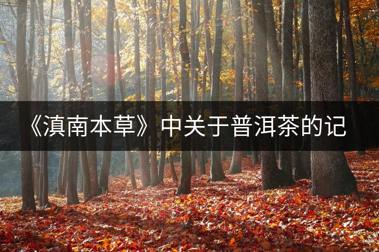 《滇南本草》中關(guān)于普洱茶的記載 《滇南本草》中關(guān)于普洱茶的記載
