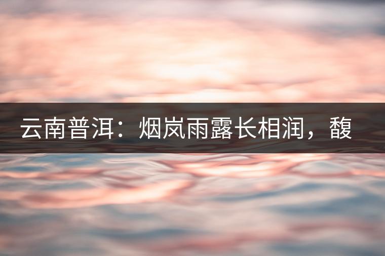 云南普洱：煙嵐雨露長相潤，馥郁芳香久久留