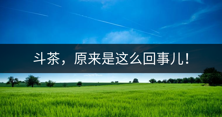 斗茶，原來是這么回事兒！