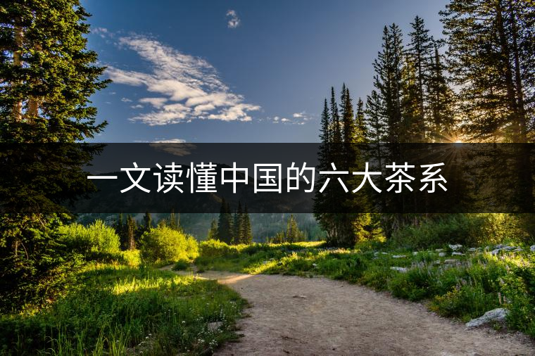 一文讀懂中國的六大茶系 一文讀懂中國的六大茶系
