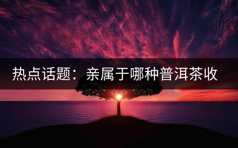 熱點(diǎn)話題：親屬于哪種普洱茶收藏者？