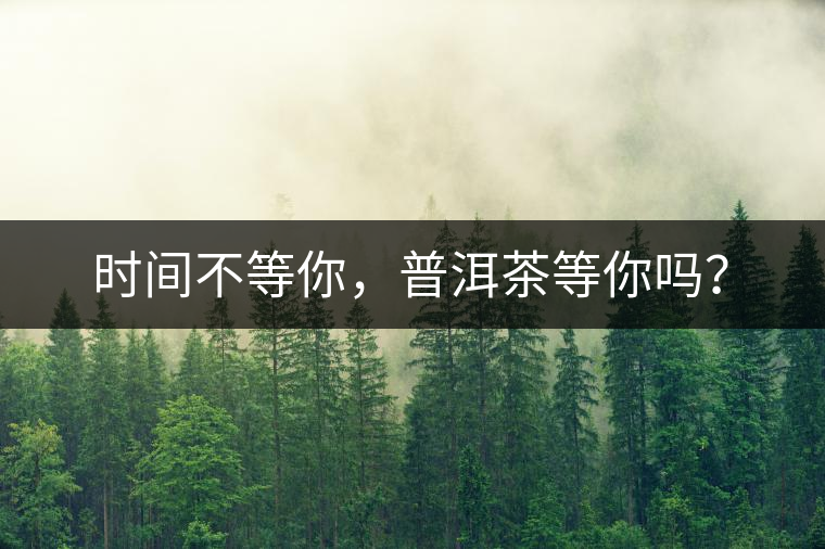 時(shí)間不等你，普洱茶等你嗎？