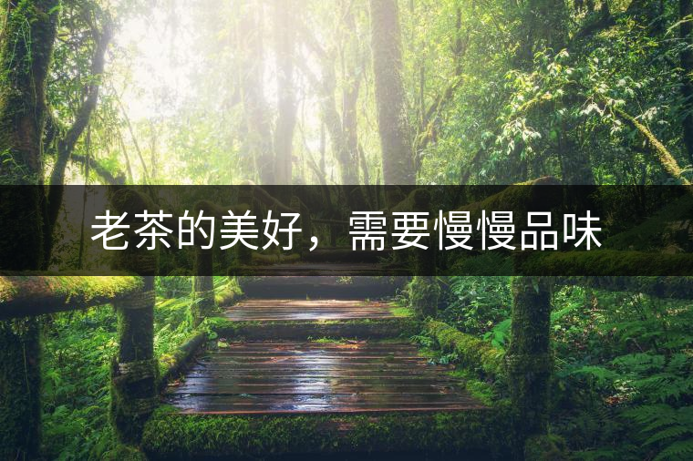 老茶的美好，需要慢慢品味