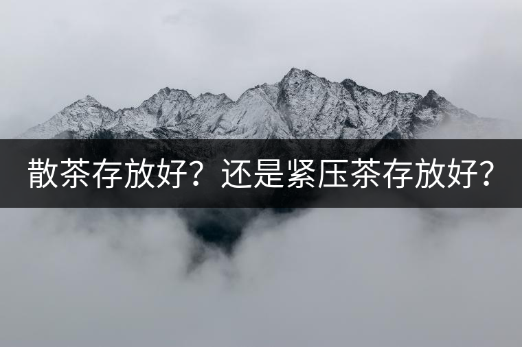 散茶存放好？還是緊壓茶存放好？