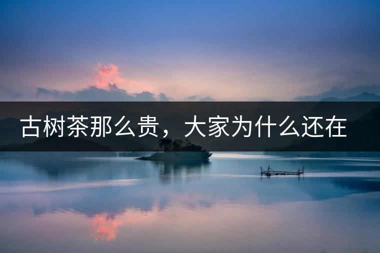 古樹茶那么貴，大家為什么還在瘋狂追求？