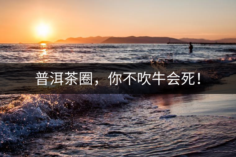 普洱茶圈，你不吹牛會(huì)死！