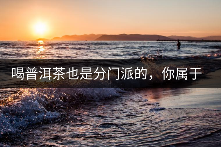 喝普洱茶也是分門派的，你屬于哪派呢？