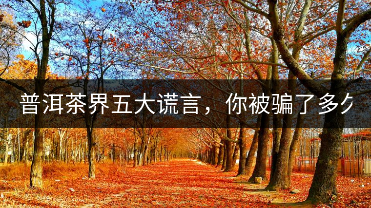 普洱茶界五大謊言，你被騙了多久？