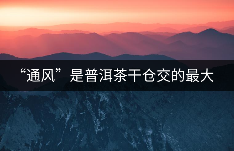 “通風(fēng)”是普洱茶干倉(cāng)交的最大學(xué)費(fèi)