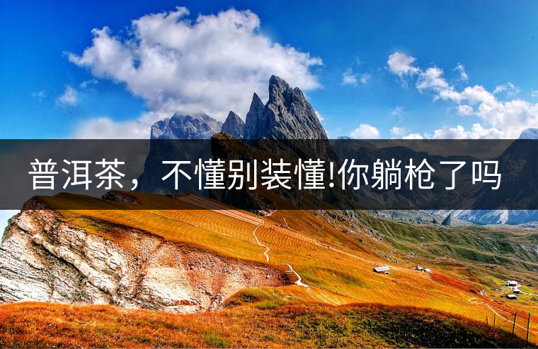 普洱茶，不懂別裝懂!你躺槍了嗎?