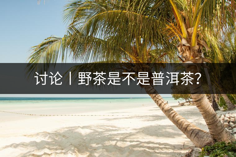 討論丨野茶是不是普洱茶？