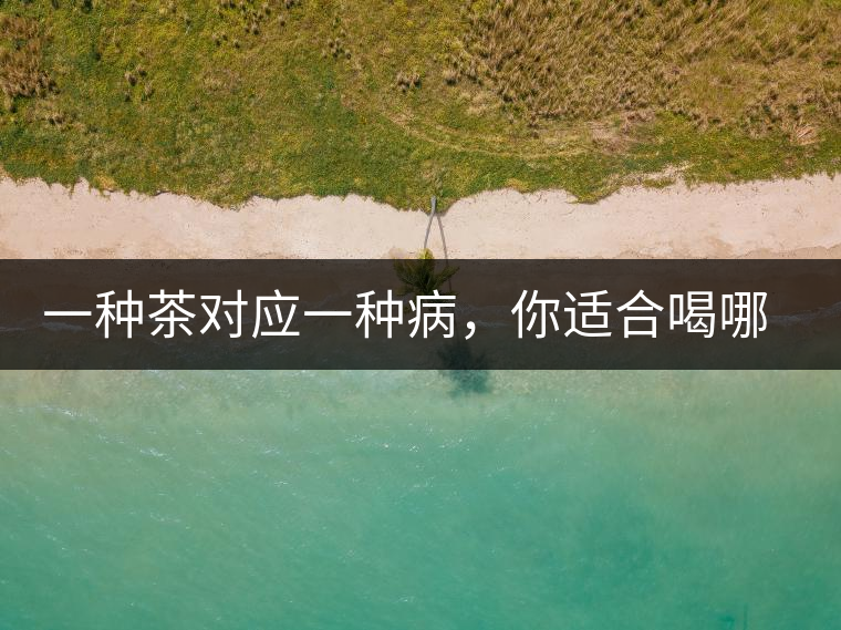 一種茶對應一種病，你適合喝哪一種呢？