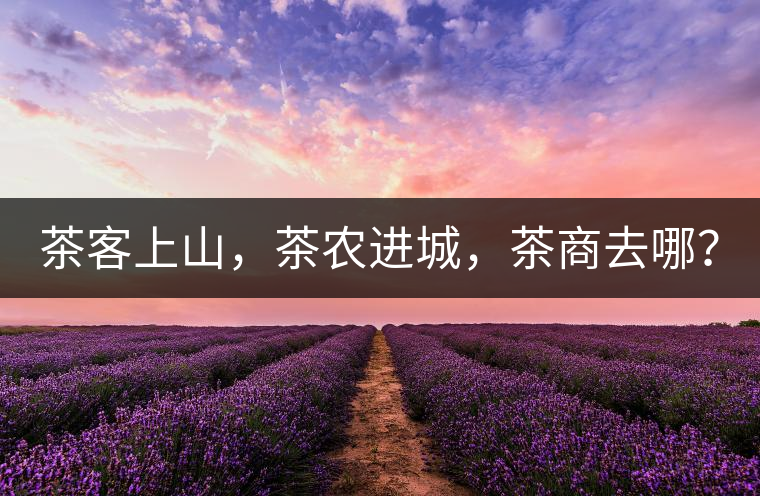 茶客上山，茶農(nóng)進城，茶商去哪？
