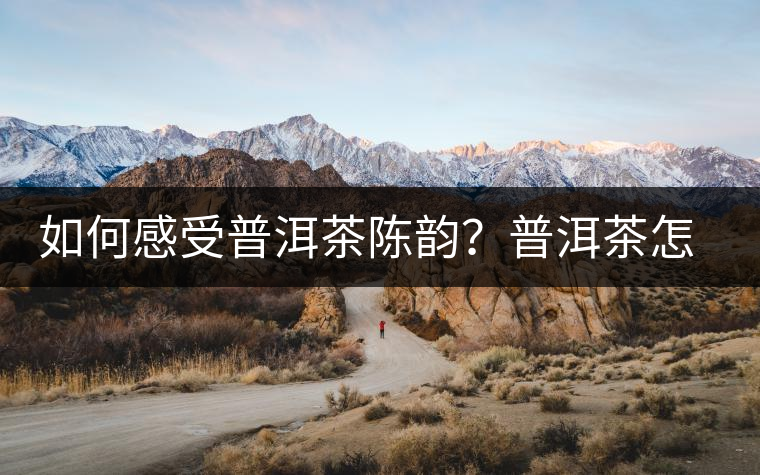 如何感受普洱茶陳韻？普洱茶怎么喝？