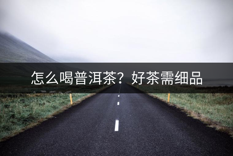 怎么喝普洱茶？好茶需細品