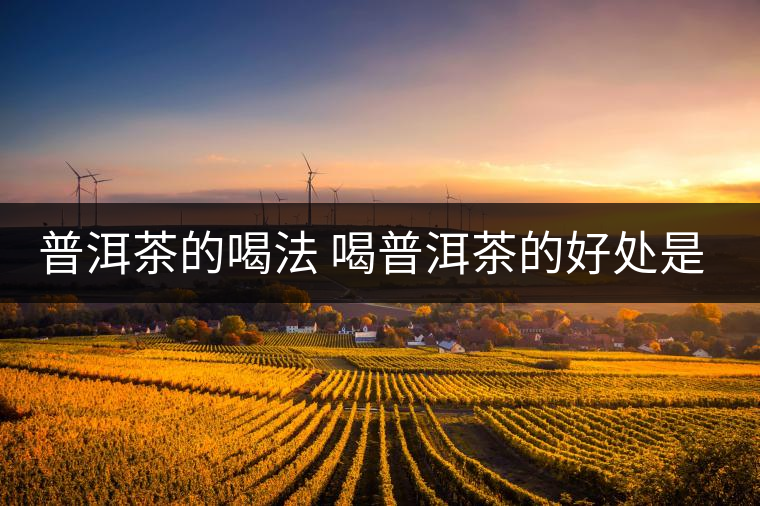 普洱茶的喝法 喝普洱茶的好處是什么？