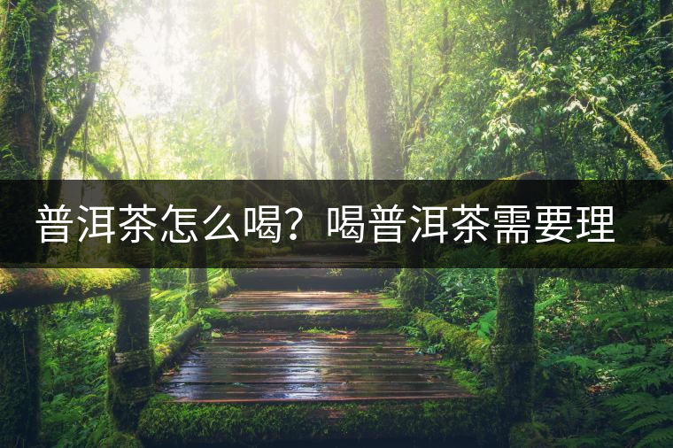 普洱茶怎么喝？喝普洱茶需要理由嗎？