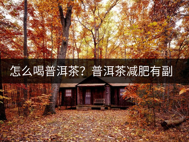 怎么喝普洱茶？普洱茶減肥有副作用嗎？