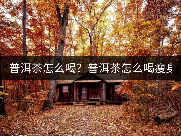 普洱茶怎么喝？普洱茶怎么喝瘦身？