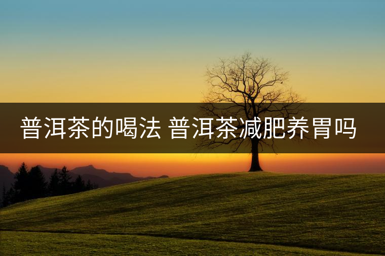 普洱茶的喝法 普洱茶減肥養(yǎng)胃嗎？