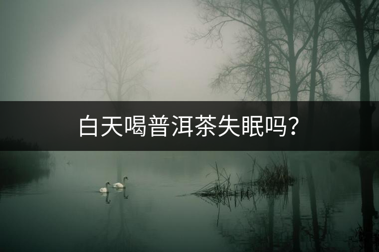 白天喝普洱茶失眠嗎？