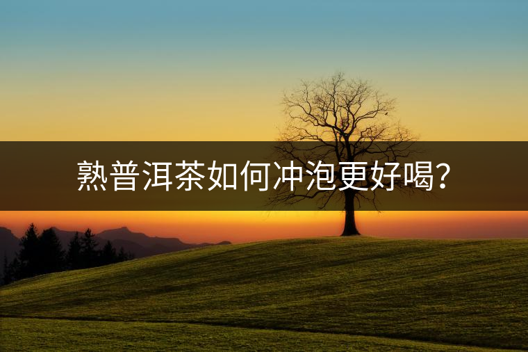熟普洱茶如何沖泡更好喝？