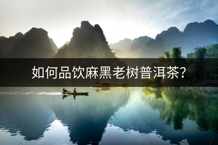 如何品飲麻黑老樹普洱茶？