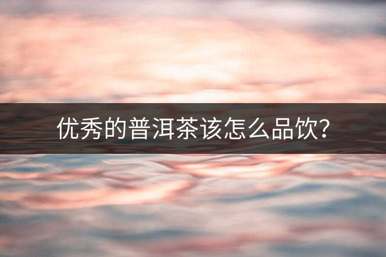 優(yōu)秀的普洱茶該怎么品飲？