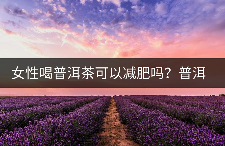 女性喝普洱茶可以減肥嗎？普洱茶的功效又有哪些呢？