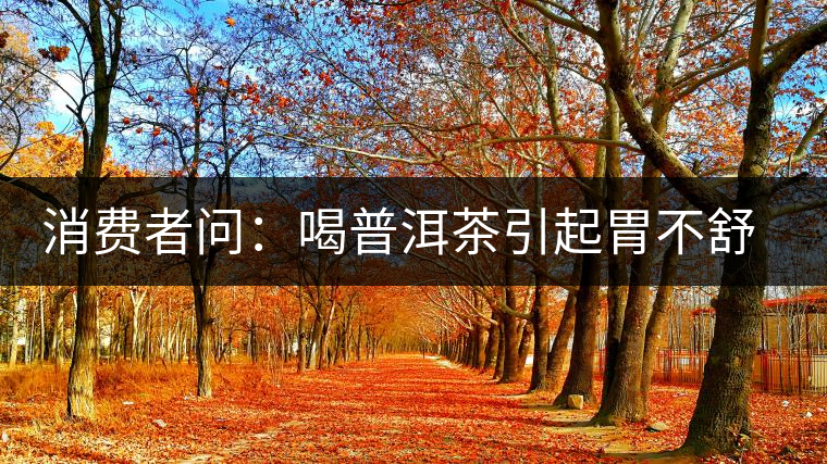 消費者問：喝普洱茶引起胃不舒服怎么辦？