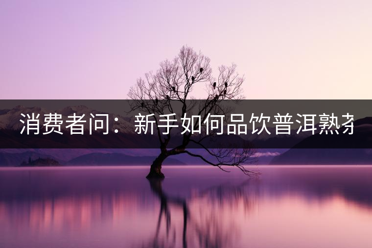 消費(fèi)者問：新手如何品飲普洱熟茶？