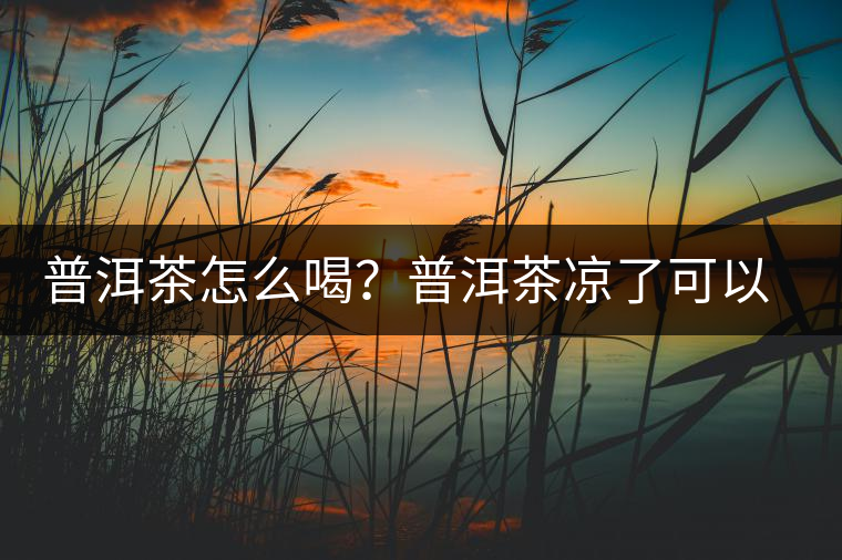 普洱茶怎么喝？普洱茶涼了可以喝嗎？