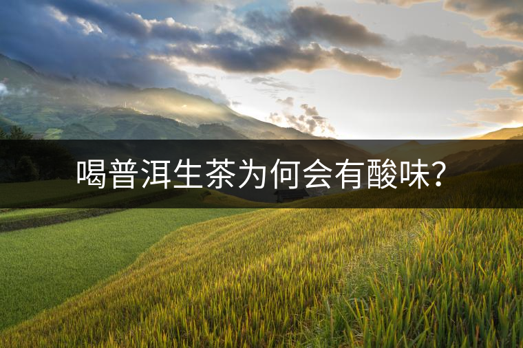 喝普洱生茶為何會(huì)有酸味？