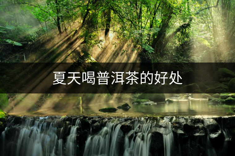 夏天喝普洱茶的好處 夏天喝普洱茶的好處