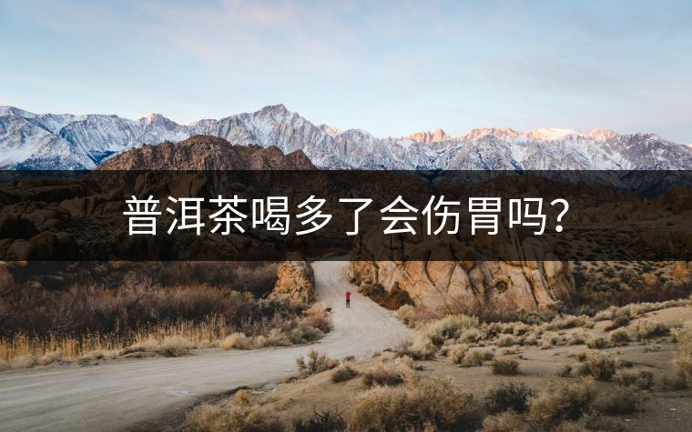 普洱茶喝多了會(huì)傷胃嗎？