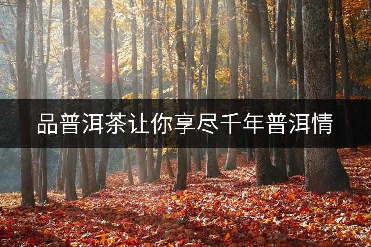 品普洱茶讓你享盡千年普洱情 品普洱茶讓你享盡千年普洱情