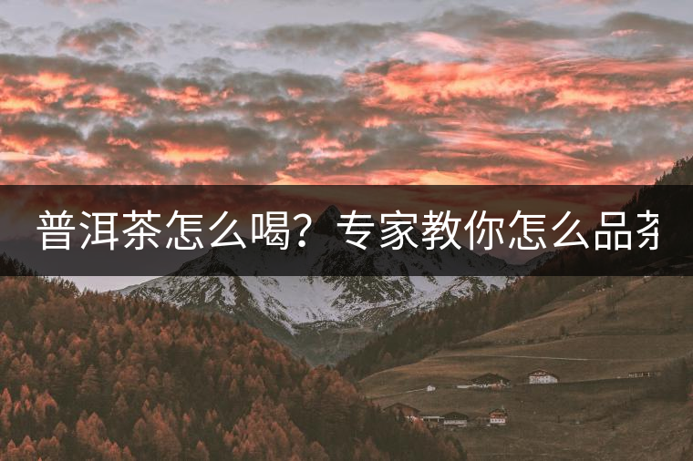 普洱茶怎么喝？專家教你怎么品茶？