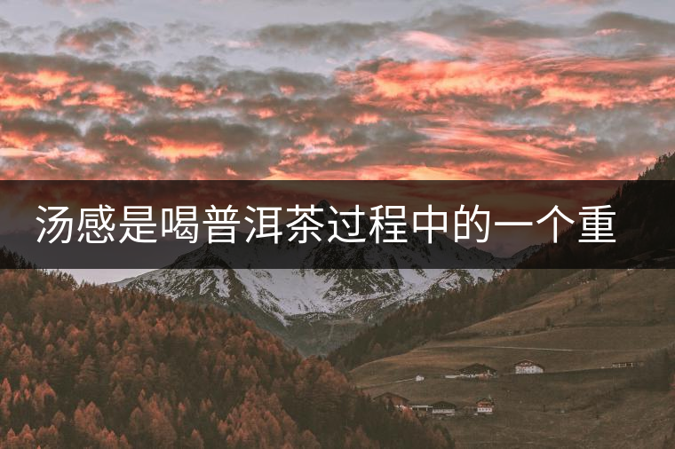 湯感是喝普洱茶過(guò)程中的一個(gè)重要感覺