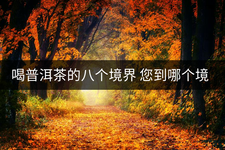 喝普洱茶的八個(gè)境界 您到哪個(gè)境界了？
