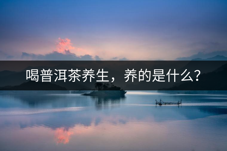 喝普洱茶養(yǎng)生，養(yǎng)的是什么？